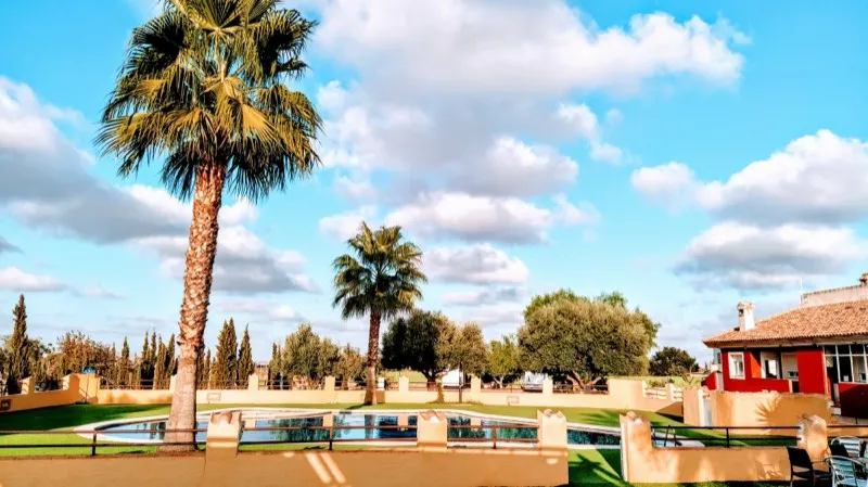 Vista piscina y palmeras