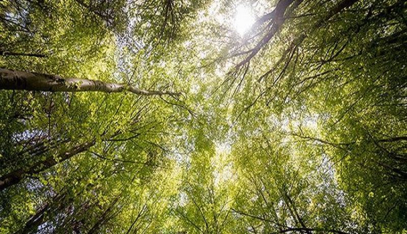 Inspire-meetings-4_3